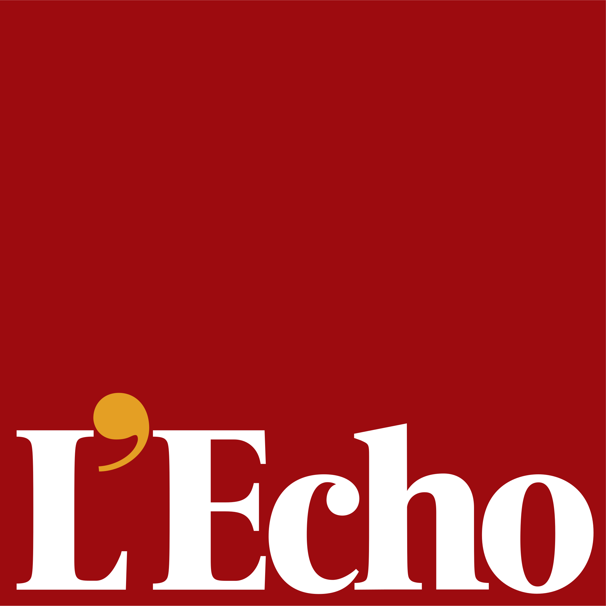 logo lecho